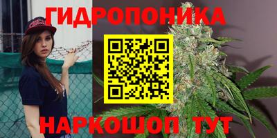 ешки Брянск