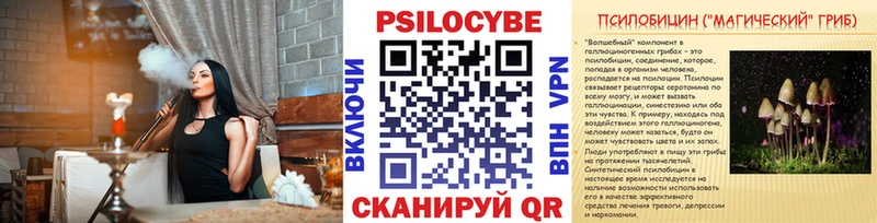 Псилоцибиновые грибы Magic Shrooms  купить наркоту  Курск 